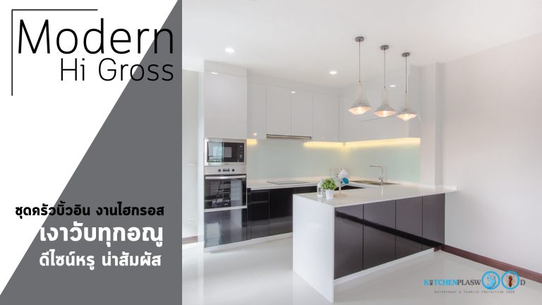 Modern Kitchen Hi gross Black and White Tone
